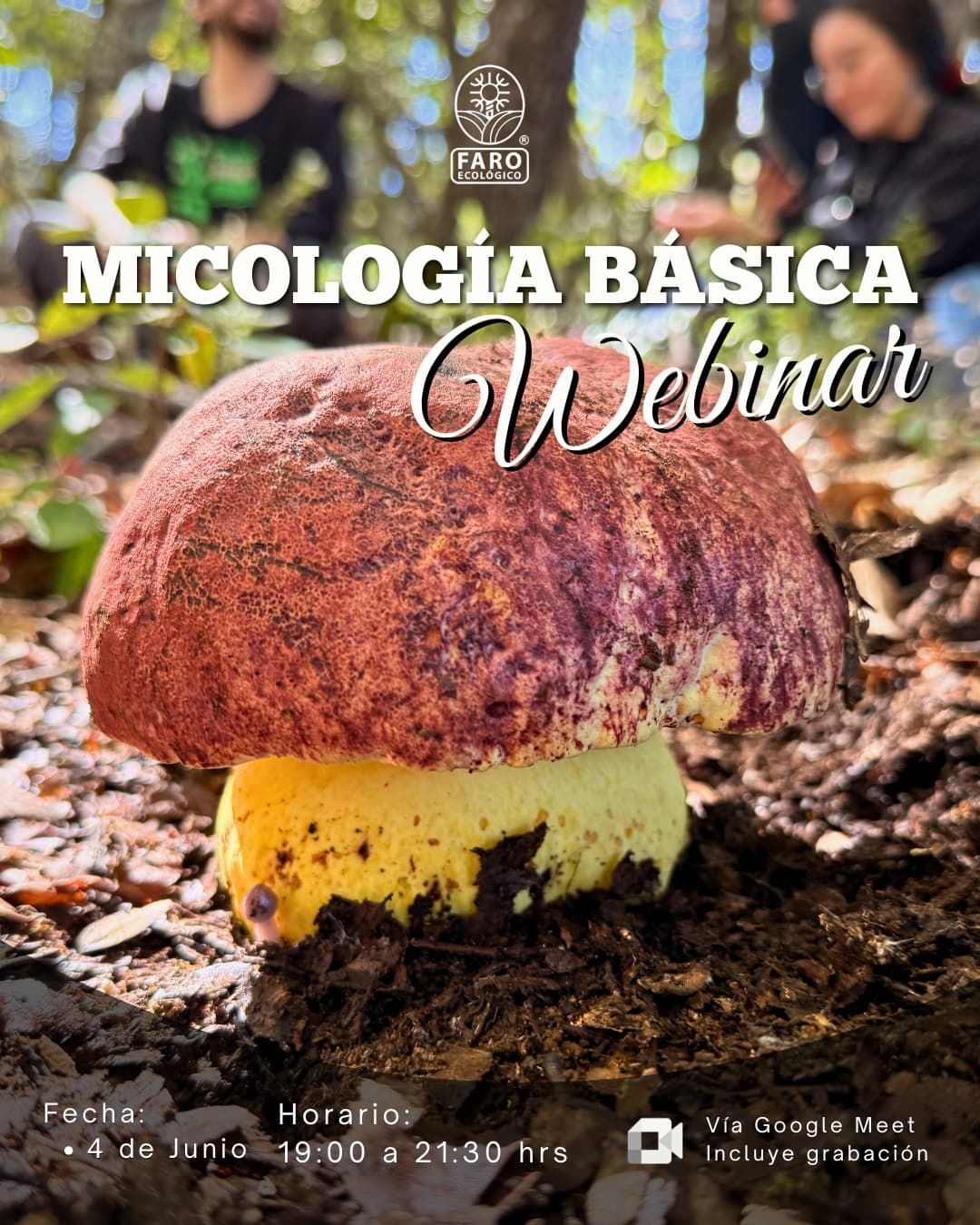Micología Básica - Webinar